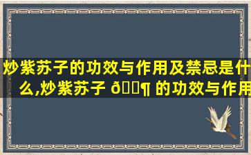 炒紫苏子的功效与作用及禁忌是什么,炒紫苏子 🐶 的功效与作用及禁忌是什么用及禁忌